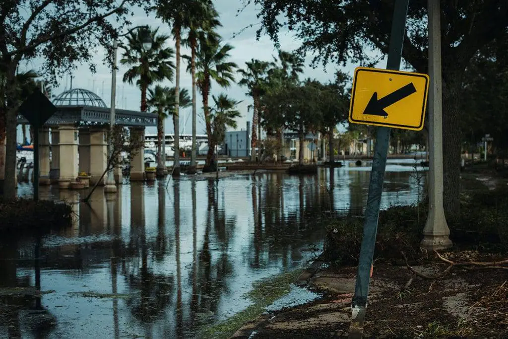 | What are the Benefits of Water Damage Restoration Services?